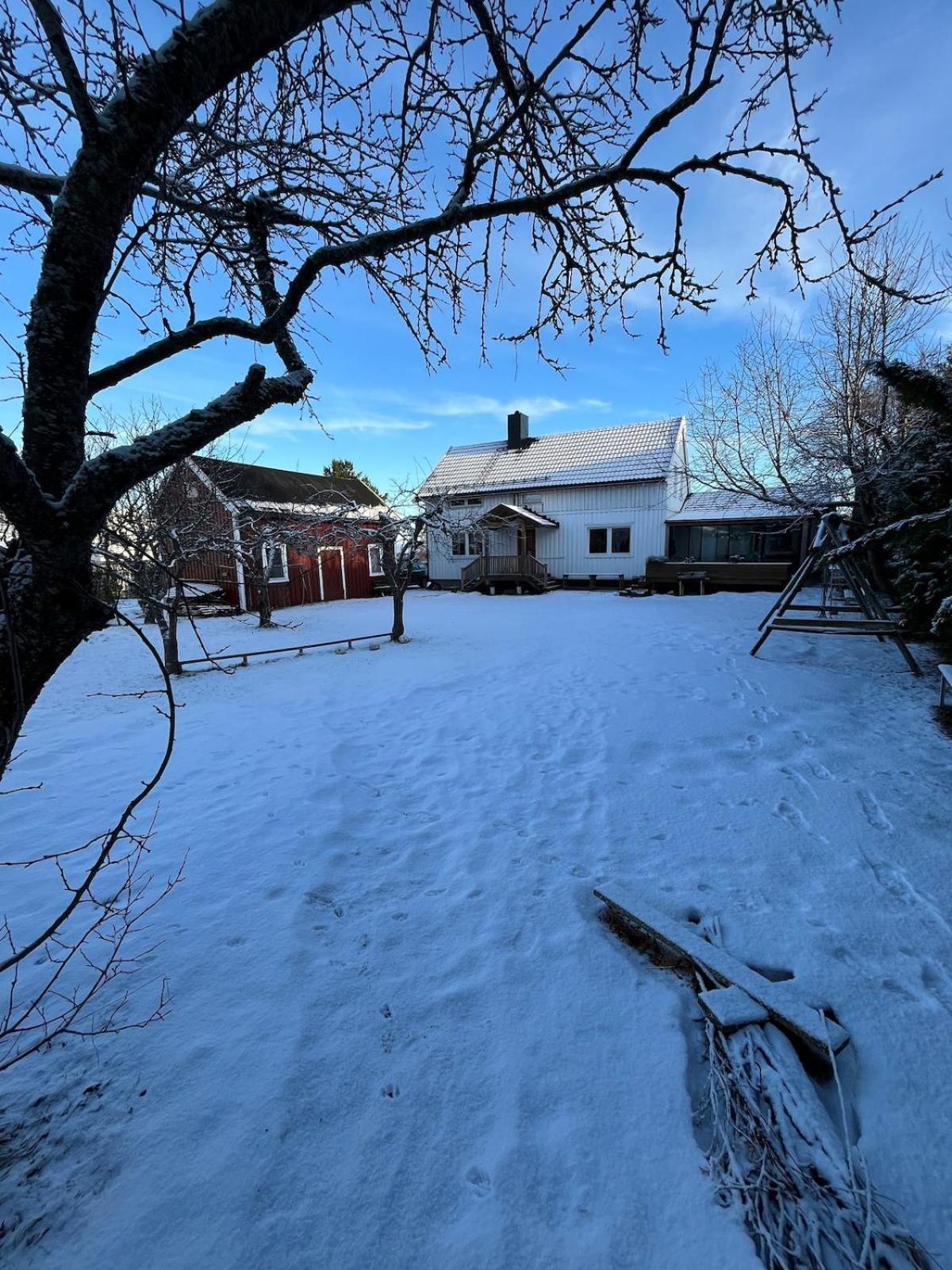 Older Villa With Large Garden Тронхейм Екстериор снимка
